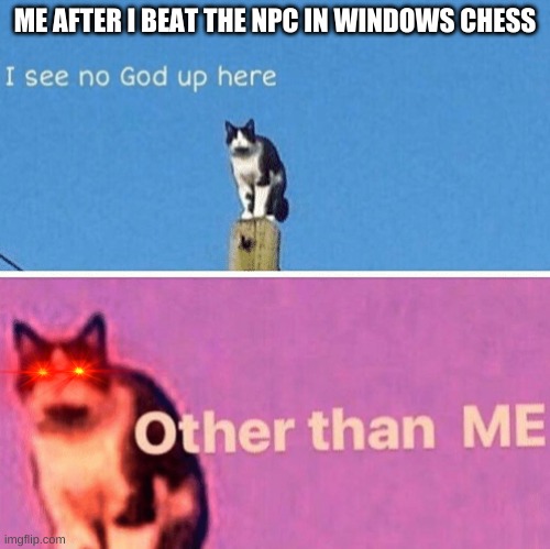 Hail pole cat | ME AFTER I BEAT THE NPC IN WINDOWS CHESS | image tagged in hail pole cat,windows,chess,npc,npc meme | made w/ Imgflip meme maker