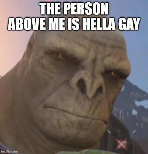 Craig | THE PERSON ABOVE ME IS HELLA GAY | image tagged in craig | made w/ Imgflip meme maker