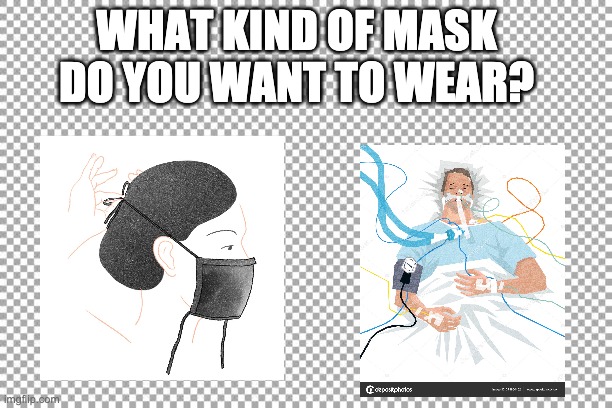 What kind of mask do you want to wear? | WHAT KIND OF MASK DO YOU WANT TO WEAR? | image tagged in free | made w/ Imgflip meme maker