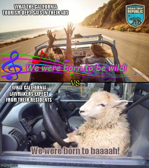 California Tourism: Like a true barnyard child | WHAT THE CALIFORNIA TOURISM DEPT. SAYS IN THEIR ADS; We were born to be wild! WHAT CALIFORNIA LAWMAKERS EXPECT FROM THEIR RESIDENTS; VS. We were born to baaaah! | image tagged in visit california ad vs living there,california,tourism,bogus ad,fake advertising,sheeple | made w/ Imgflip meme maker
