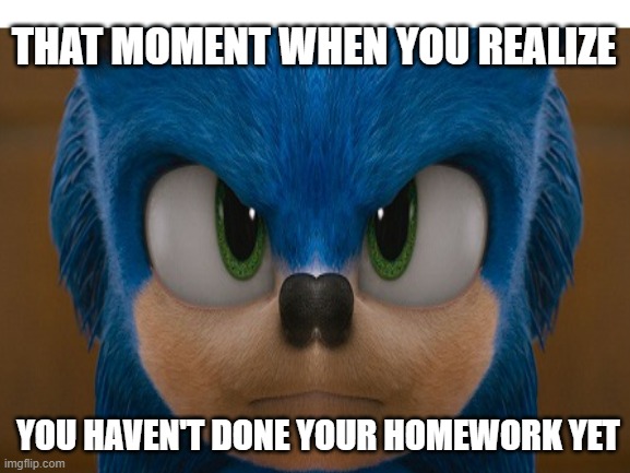 when u forgot hw | THAT MOMENT WHEN YOU REALIZE; YOU HAVEN'T DONE YOUR HOMEWORK YET | image tagged in memes,sanic | made w/ Imgflip meme maker