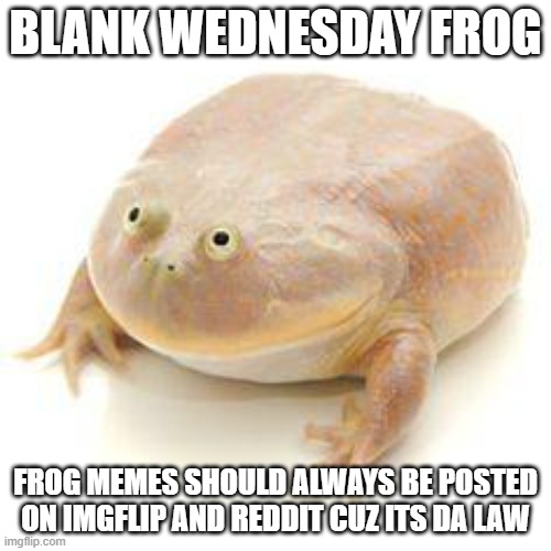 Is it acceptable | BLANK WEDNESDAY FROG; FROG MEMES SHOULD ALWAYS BE POSTED ON IMGFLIP AND REDDIT CUZ ITS DA LAW | image tagged in wednesday frog blank | made w/ Imgflip meme maker