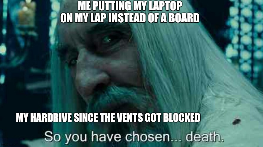 then why call it a laptop?! | ME PUTTING MY LAPTOP ON MY LAP INSTEAD OF A BOARD; MY HARDRIVE SINCE THE VENTS GOT BLOCKED | image tagged in so you have chosen death | made w/ Imgflip meme maker