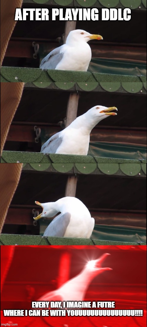 Inhaling Seagull | AFTER PLAYING DDLC; EVERY DAY, I IMAGINE A FUTRE WHERE I CAN BE WITH YOUUUUUUUUUUUUUUU!!!! | image tagged in memes,inhaling seagull | made w/ Imgflip meme maker