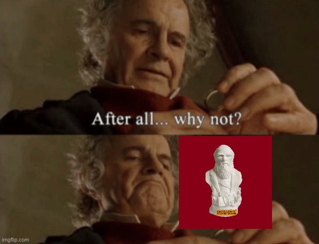 Who’s going for a Darwin Award? | image tagged in after all why not | made w/ Imgflip meme maker