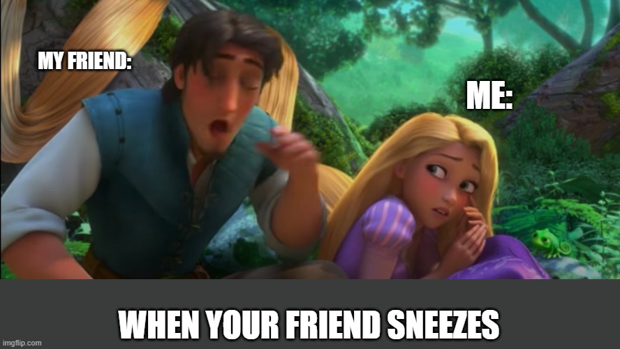 Snupunzel | MY FRIEND:; ME:; WHEN YOUR FRIEND SNEEZES | image tagged in rupunzel,flynn rider,sneeze,disney,funny,lol | made w/ Imgflip meme maker