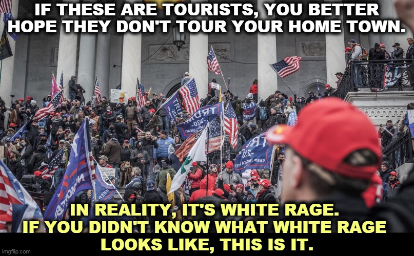 White supremacists protest the fact that nobody else thinks that they're superior. | IF THESE ARE TOURISTS, YOU BETTER HOPE THEY DON'T TOUR YOUR HOME TOWN. IN REALITY, IT'S WHITE RAGE. 
IF YOU DIDN'T KNOW WHAT WHITE RAGE 
LOOKS LIKE, THIS IS IT. | image tagged in capitol hill,riot,white,rage,white supremacists,low | made w/ Imgflip meme maker