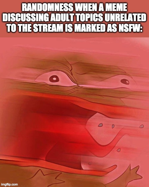 Keep your images appropriate and relevant to the stream if you don't want them marked as NSFW or even disapproved. | image tagged in funny,memes,politics,triggered,rage pepe,reeeeeeeeeeeeeeeeeeeeee | made w/ Imgflip meme maker