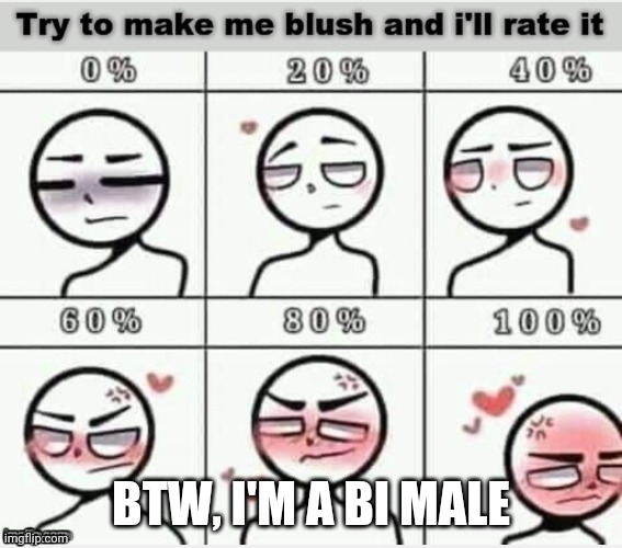 I don't blush easily | BTW, I'M A BI MALE | image tagged in blush | made w/ Imgflip meme maker