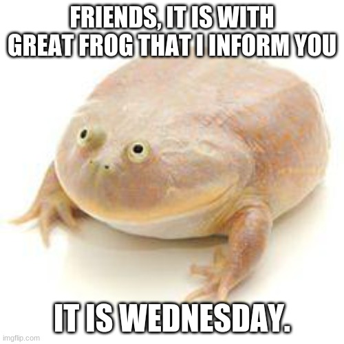 posted on a Wednesday | FRIENDS, IT IS WITH GREAT FROG THAT I INFORM YOU; IT IS WEDNESDAY. | image tagged in wednesday frog blank | made w/ Imgflip meme maker