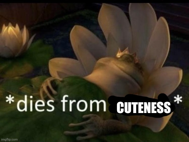 Dies from cringe | CUTENESS | image tagged in dies from cringe | made w/ Imgflip meme maker