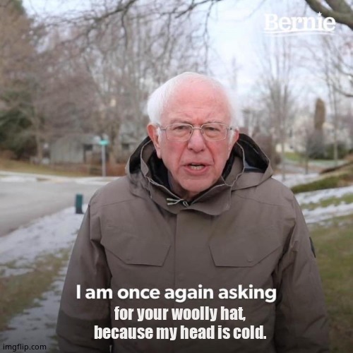 And maybe some mittens. | for your woolly hat, because my head is cold. | image tagged in memes,bernie i am once again asking for your support,freezing cold,funny memes | made w/ Imgflip meme maker