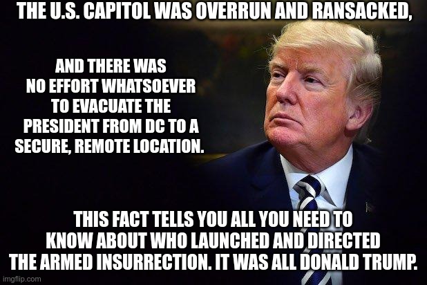 It Was Trump | THE U.S. CAPITOL WAS OVERRUN AND RANSACKED, AND THERE WAS NO EFFORT WHATSOEVER TO EVACUATE THE PRESIDENT FROM DC TO A SECURE, REMOTE LOCATION. THIS FACT TELLS YOU ALL YOU NEED TO KNOW ABOUT WHO LAUNCHED AND DIRECTED THE ARMED INSURRECTION. IT WAS ALL DONALD TRUMP. | image tagged in trump,insurrection,terrorist,nazi,fascist | made w/ Imgflip meme maker