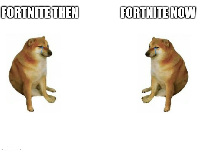 Cheems vs Cheems | FORTNITE THEN FORTNITE NOW | image tagged in cheems vs cheems | made w/ Imgflip meme maker