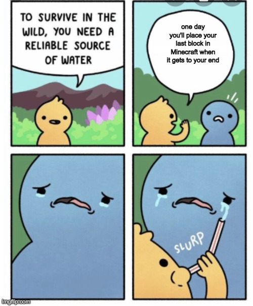 and no, i'm not at old age yet | one day you'll place your last block in Minecraft when it gets to your end | image tagged in to survive in the wild | made w/ Imgflip meme maker