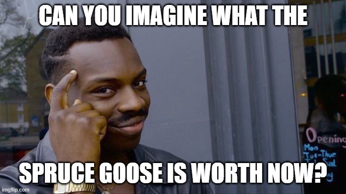 $$$ | CAN YOU IMAGINE WHAT THE; SPRUCE GOOSE IS WORTH NOW? | image tagged in memes,spruce,goose | made w/ Imgflip meme maker