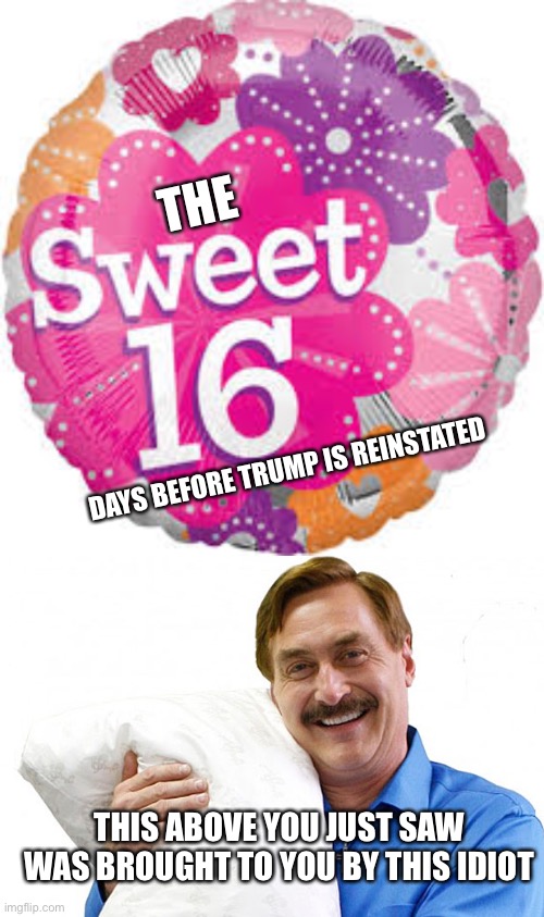 THE; DAYS BEFORE TRUMP IS REINSTATED; THIS ABOVE YOU JUST SAW WAS BROUGHT TO YOU BY THIS IDIOT | image tagged in sweet sixteen,my pillow | made w/ Imgflip meme maker