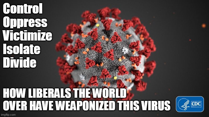 Democrats, aka Liberals/Progressives do not care about your well-being. | Control
Oppress
Victimize
Isolate
Divide; HOW LIBERALS THE WORLD OVER HAVE WEAPONIZED THIS VIRUS | image tagged in covid 19,democrats,what gives people feelings of power | made w/ Imgflip meme maker