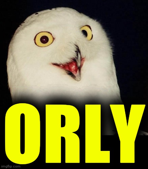 orly owl | ORLY | image tagged in orly owl | made w/ Imgflip meme maker
