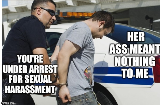Her Ass | image tagged in arrested,sexual harassment,funny,lol | made w/ Imgflip meme maker