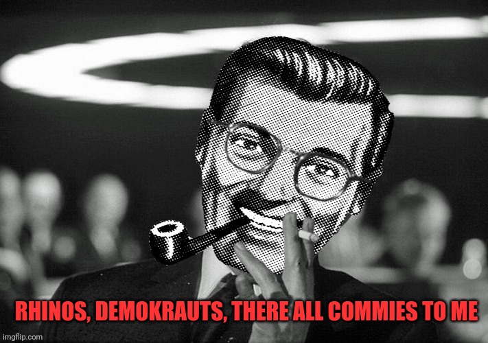 Dr.Strangmeme | RHINOS, DEMOKRAUTS, THERE ALL COMMIES TO ME | image tagged in dr strangmeme | made w/ Imgflip meme maker