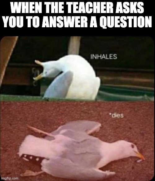 inhales dies bird | WHEN THE TEACHER ASKS YOU TO ANSWER A QUESTION | image tagged in inhales dies bird | made w/ Imgflip meme maker