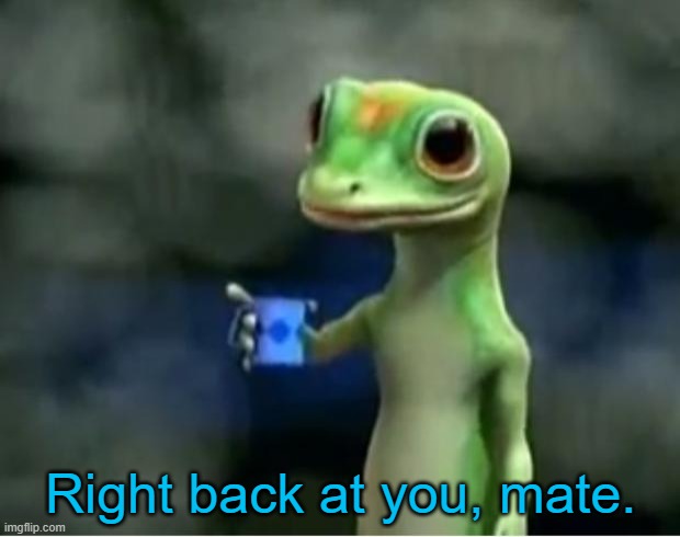 Geico Gecko | Right back at you, mate. | image tagged in geico gecko | made w/ Imgflip meme maker