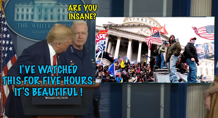 Donald can't get enough. | ARE YOU
INSANE? I'VE WATCHED THIS FOR FIVE HOURS.
IT'S BEAUTIFUL ! | image tagged in trump watching tv | made w/ Imgflip meme maker