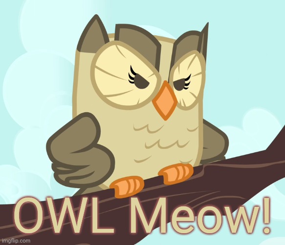 Scowled Owlowiscious (MLP) | OWL Meow! | image tagged in scowled owlowiscious mlp | made w/ Imgflip meme maker