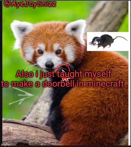 AyeJaySnizz Red Panda Announcement | Also i just taught myself to make a doorbell in minecraft | image tagged in ayejaysnizz red panda announcement | made w/ Imgflip meme maker