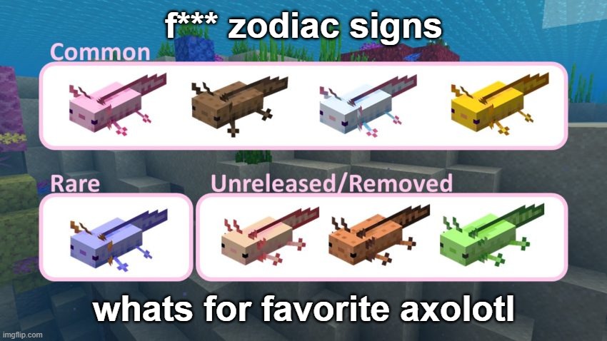 f*** zodiac signs; whats for favorite axolotl | image tagged in minecraft | made w/ Imgflip meme maker