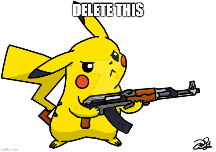 Pikachu's got a gun | DELETE THIS | image tagged in pikachu's got a gun | made w/ Imgflip meme maker