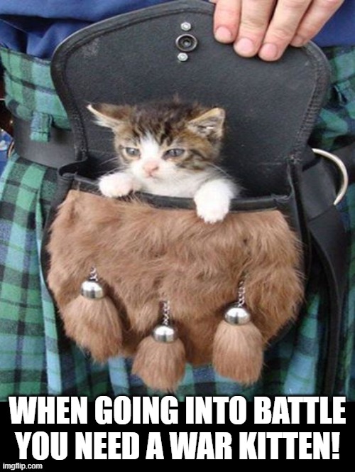 War Kitten | WHEN GOING INTO BATTLE YOU NEED A WAR KITTEN! | image tagged in kitten | made w/ Imgflip meme maker