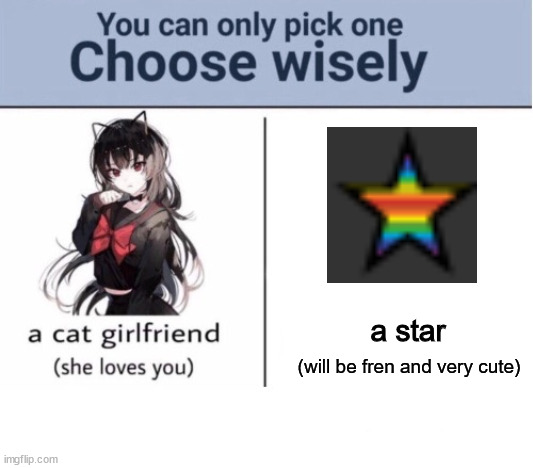 Choose wisely | a star; (will be fren and very cute) | image tagged in choose wisely | made w/ Imgflip meme maker