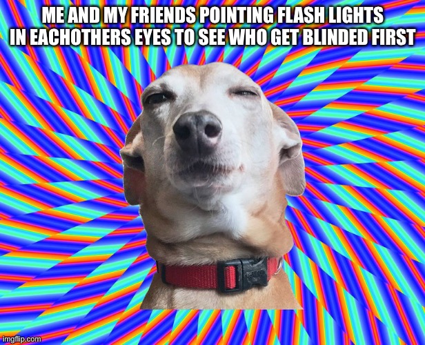 Blond dogo | ME AND MY FRIENDS POINTING FLASH LIGHTS IN EACHOTHERS EYES TO SEE WHO GET BLINDED FIRST | image tagged in views,upvotes,doge,blind | made w/ Imgflip meme maker