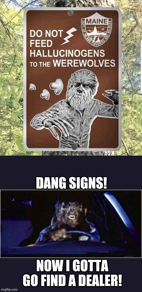 Trippin' Wolf | DANG SIGNS! NOW I GOTTA GO FIND A DEALER! | image tagged in werewolf,psychedelic,drug,addict,mushrooms,funny signs | made w/ Imgflip meme maker