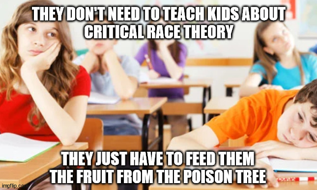 A rose by any other name... |  THEY DON'T NEED TO TEACH KIDS ABOUT
CRITICAL RACE THEORY; THEY JUST HAVE TO FEED THEM THE FRUIT FROM THE POISON TREE | image tagged in no crt | made w/ Imgflip meme maker