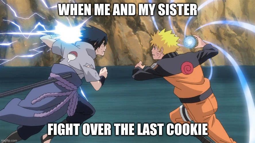 Naruto Sasuke | WHEN ME AND MY SISTER; FIGHT OVER THE LAST COOKIE | image tagged in naruto sasuke | made w/ Imgflip meme maker