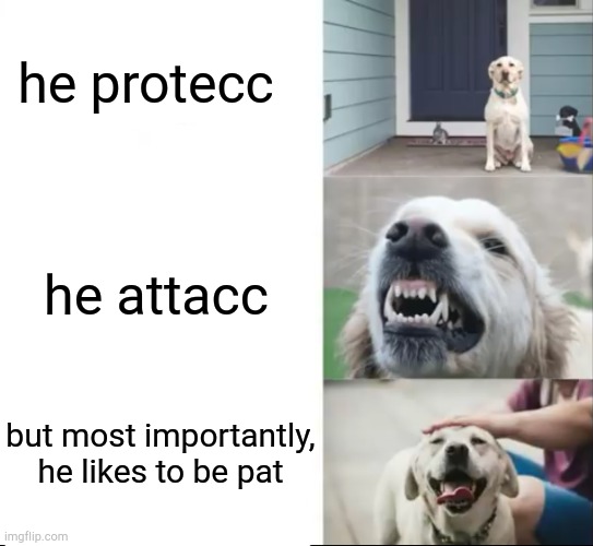  he protecc; he attacc; but most importantly, he likes to be pat | image tagged in dogs,he protec he attac but most importantly | made w/ Imgflip meme maker