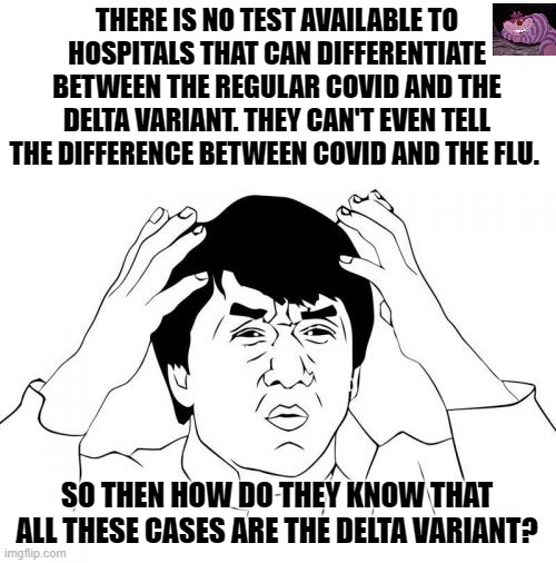 To tell if it is Delta or original COVID requires the CDC to do gene sequencing analysis | THERE IS NO TEST AVAILABLE TO HOSPITALS THAT CAN DIFFERENTIATE BETWEEN THE REGULAR COVID AND THE DELTA VARIANT. THEY CAN'T EVEN TELL THE DIFFERENCE BETWEEN COVID AND THE FLU. SO THEN HOW DO THEY KNOW THAT ALL THESE CASES ARE THE DELTA VARIANT? | image tagged in memes,jackie chan wtf | made w/ Imgflip meme maker