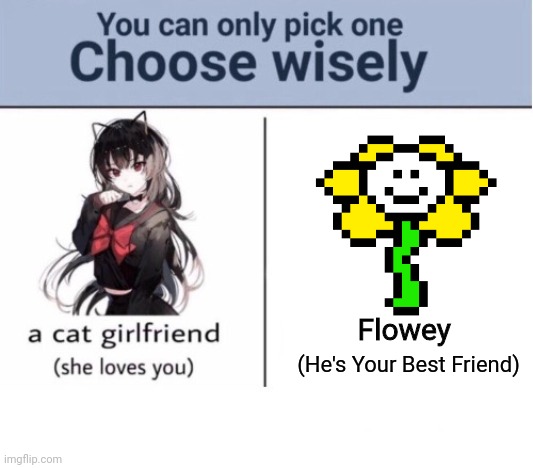Choose wisely | Flowey; (He's Your Best Friend) | image tagged in choose wisely | made w/ Imgflip meme maker