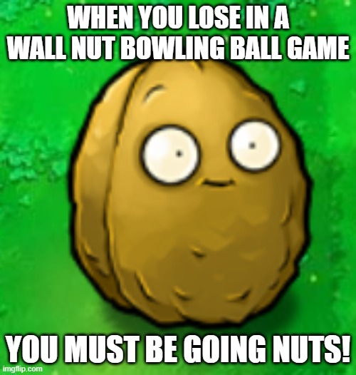:) | WHEN YOU LOSE IN A WALL NUT BOWLING BALL GAME; YOU MUST BE GOING NUTS! | image tagged in wall-nut | made w/ Imgflip meme maker