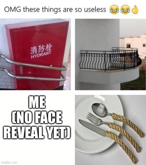 Jaj | ME
(NO FACE REVEAL YET) | image tagged in useless things | made w/ Imgflip meme maker