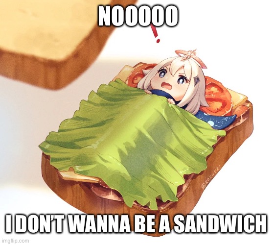 NOOOOO; I DON’T WANNA BE A SANDWICH | made w/ Imgflip meme maker
