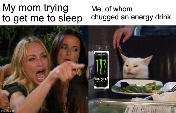 Woman Yelling At Cat Meme | My mom trying to get me to sleep; Me, of whom chugged an energy drink | image tagged in memes,woman yelling at cat,family,mom | made w/ Imgflip meme maker