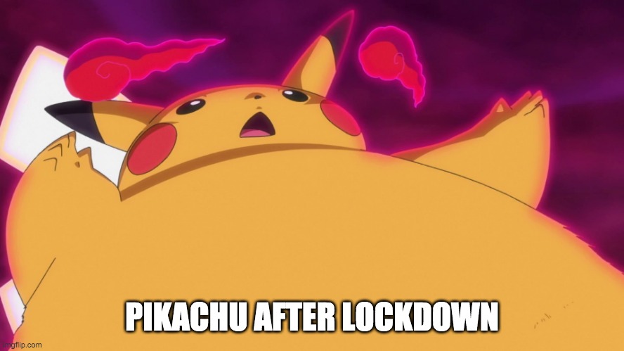 PIKACHU AFTER LOCKDOWN | image tagged in pickachu | made w/ Imgflip meme maker