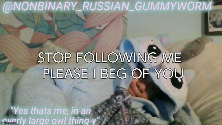 I made unreasonable promises i now regret- | PLEASE I BEG OF YOU; STOP FOLLOWING ME | image tagged in gummyworm's overly large owl thingy temp | made w/ Imgflip meme maker