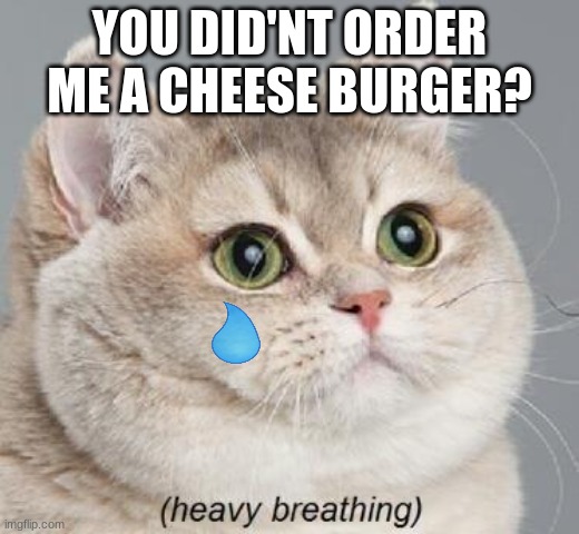 You didn't order me a cheese burger? | YOU DID'NT ORDER ME A CHEESE BURGER? | image tagged in memes,heavy breathing cat | made w/ Imgflip meme maker