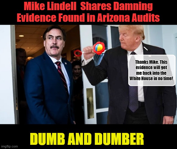 Meanwhile at the Mar-a-Lago... | Mike Lindell  Shares Damning Evidence Found in Arizona Audits; Thanks Mike. This evidence will get me back into the White House in no time! DUMB AND DUMBER | image tagged in donald trump,dumb and dumber,trump is a moron,white house | made w/ Imgflip meme maker