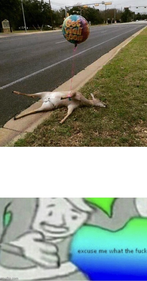 image tagged in get well deer,excuse me wtf blank template | made w/ Imgflip meme maker